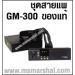 ͧԷ  Motorola  GM-300